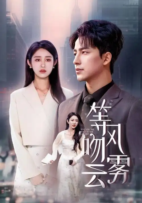 红果影视口碑榜 长夜将明